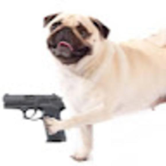 pugwithagun